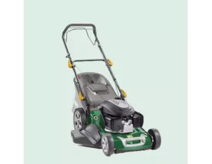 VERTS LOISIRS - Tondeuse thermique VL55TH - 53 cm