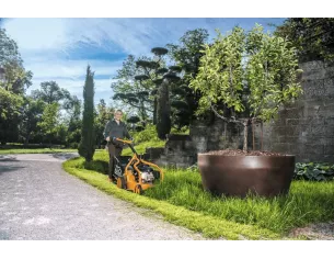 Tondeuse thermique AS 531 4T MK | Puissance & fiabilité pro | 53 cm | Maison Mayoud 2