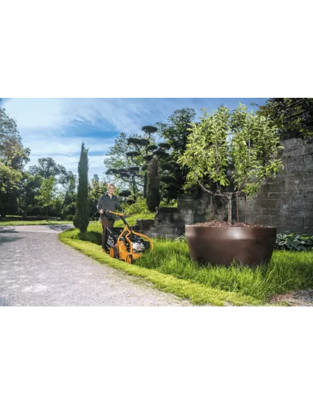 Tondeuse thermique AS 531 4T MK | Puissance & fiabilité pro | 53 cm | Maison Mayoud