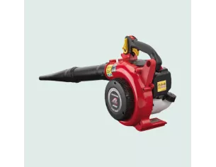 Souffleur Honda HHB 25E | Thermique 4 temps puissant | Maison Mayoud