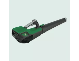 Souffleur à batterie VL BL48V | Puissant, léger, silencieux 48V | Maison Mayoud