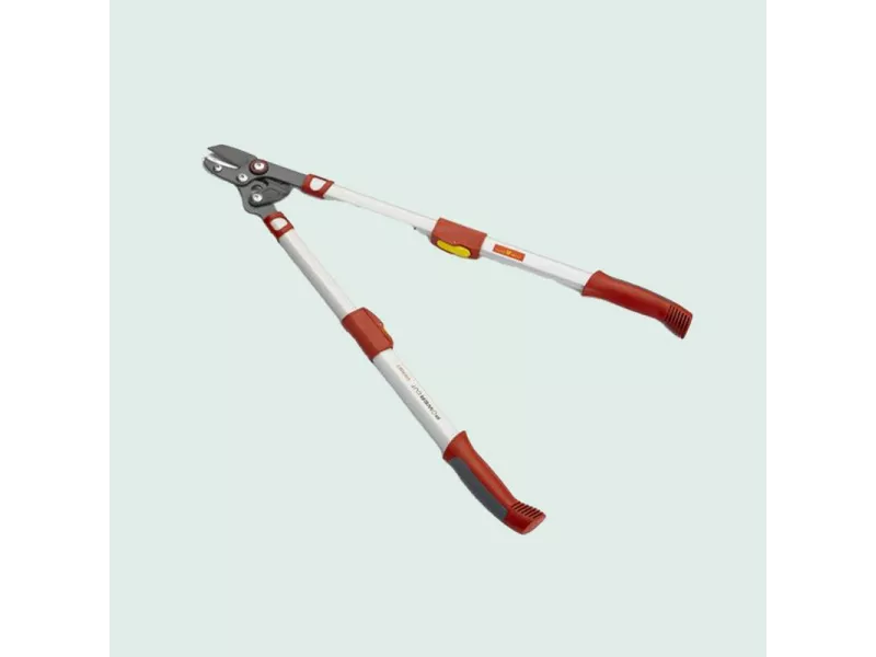 OUTILS WOLF - Élagueur télescopique Premium à coupe mixte Powercut OR900T - 50 mm