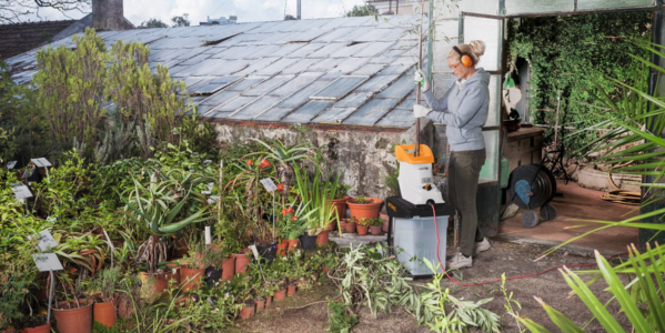 Comment choisir le broyeur de branches idéal pour vos espaces verts avec Maison Mayoud ?