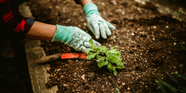 Quels outils pour entretenir son jardin au printemps ?