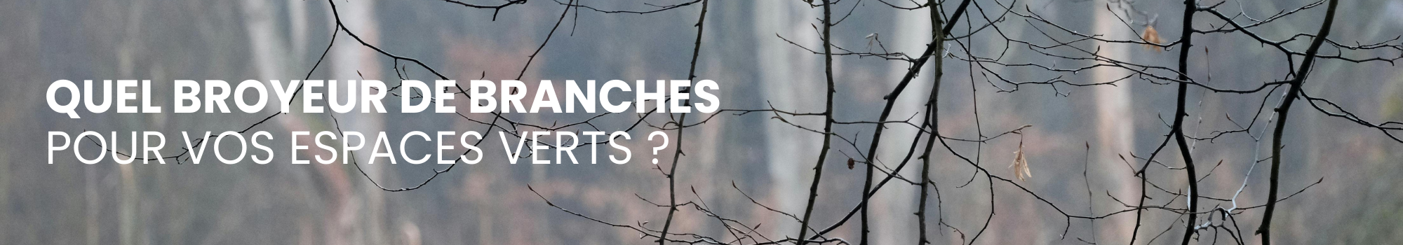 Comment choisir le broyeur de branches idéal pour vos espaces verts avec Maison Mayoud ?