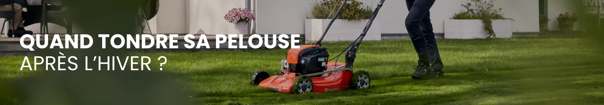 Quand tondre sa pelouse après l’hiver : Guide complet Maison Mayoud