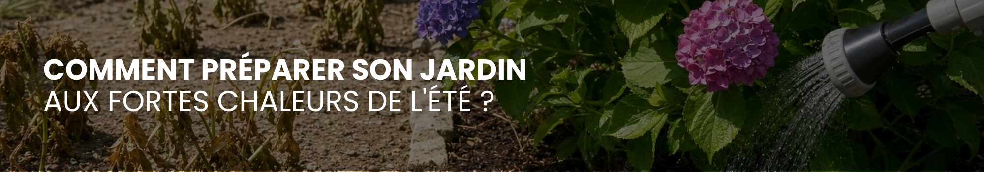 Comment préparer son jardin aux fortes chaleurs de l'été ?