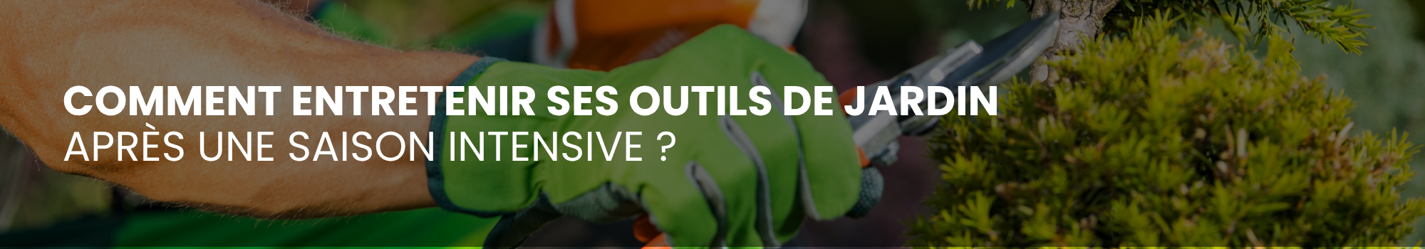 Comment entretenir ses outils de jardin après une saison intensive ?