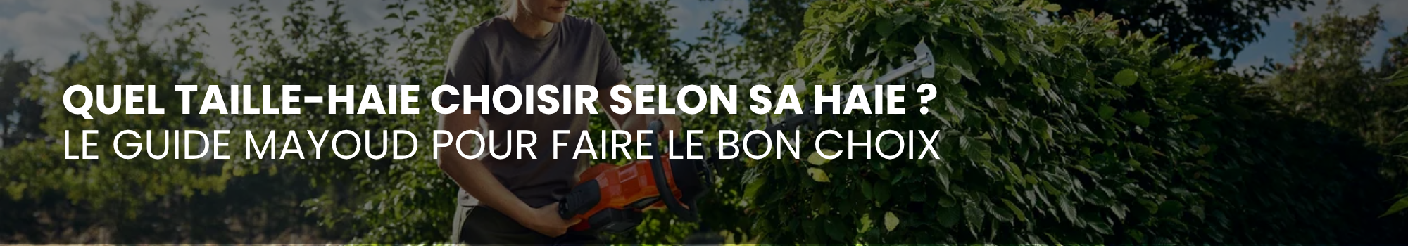 Quel taille-haie choisir selon sa haie ? Le guide pour faire le bon choix