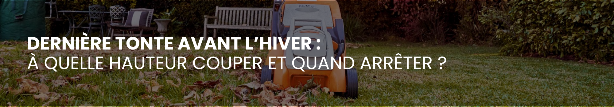 Dernière tonte avant l’hiver : à quelle hauteur couper et quand arrêter ?