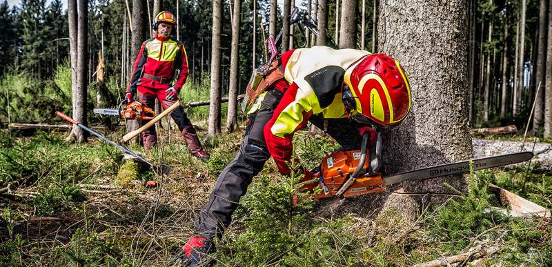 CASQUES PROTOS POUR LES ELAGUEURS ET LES FORESTIERS