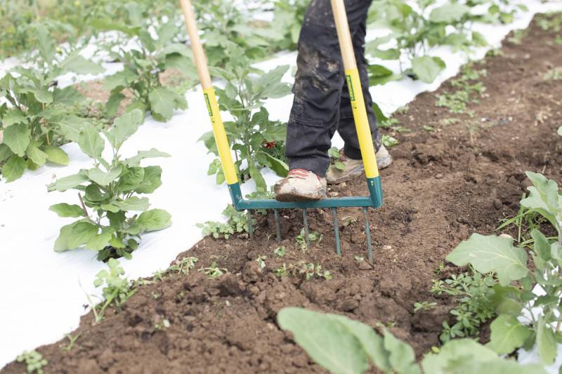 OUTILS LEBORGNE POUR LE JARDINIER